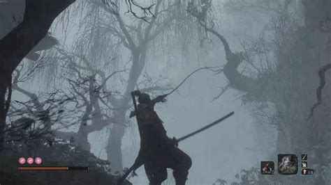 hidden forest sekiro.